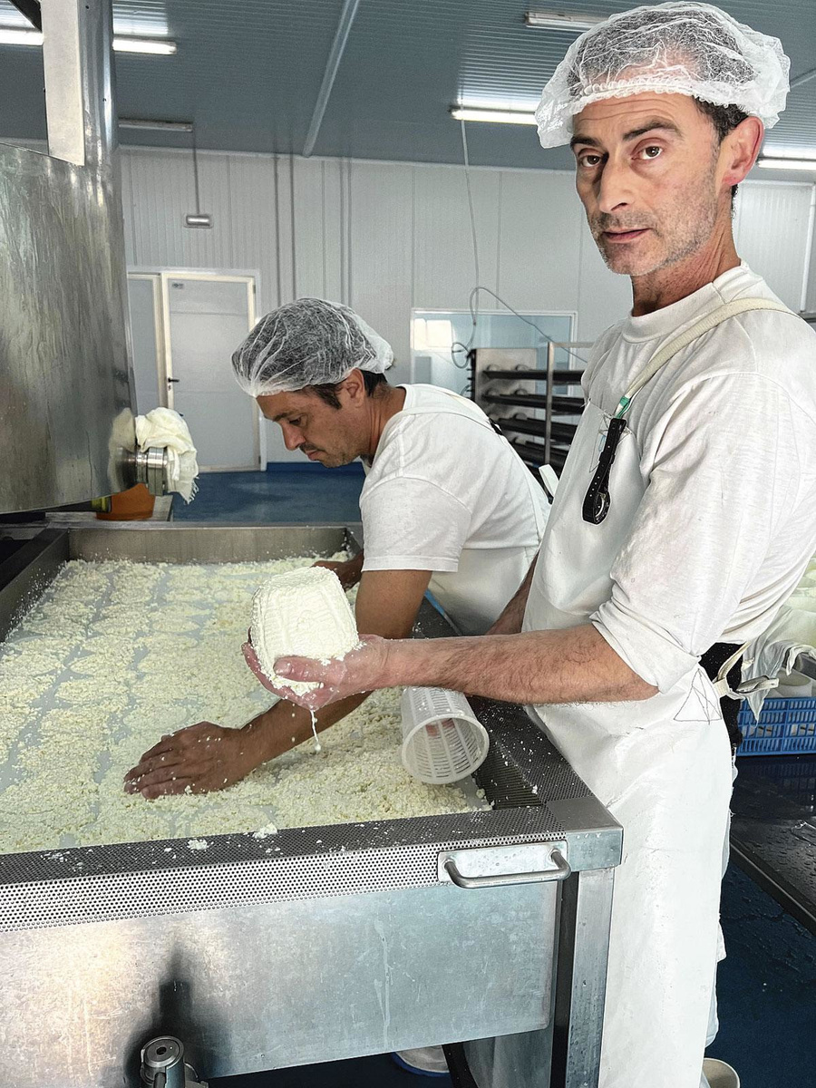 Torta del Casar, de trots van de regio.