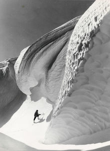 Antarctica: waar wijze mannen niet komen