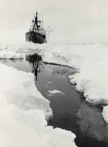 Antarctica: waar wijze mannen niet komen