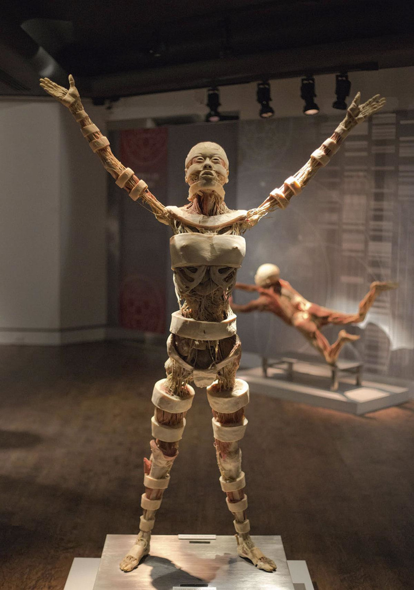 Real Bodies in Sportpaleis Antwerpen 