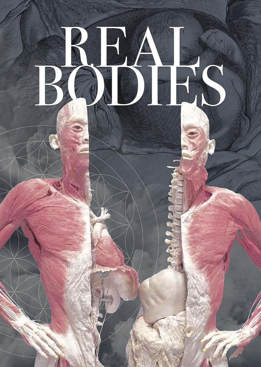 Real Bodies in Sportpaleis Antwerpen 