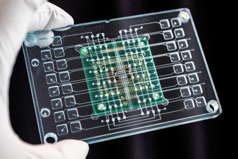 MEA-chip