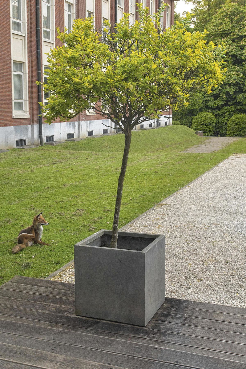 La cérémonie de remise des prix Galien en images 