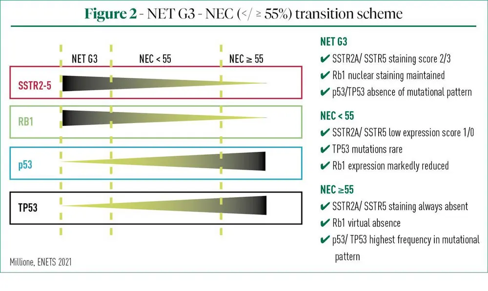 ENETS 2021: temps forts