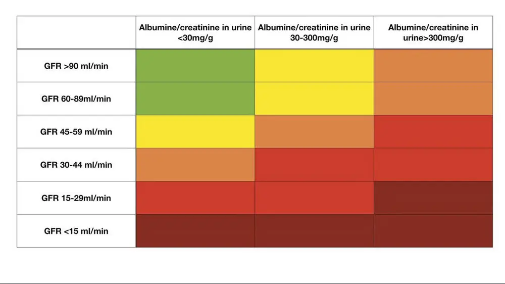 Dit diagram toont het risico op chronische nierschade op basis van eGFR en albumine-creatinineratio.