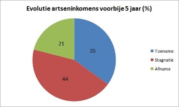 Hoe schatten artsen hun inkomen in?