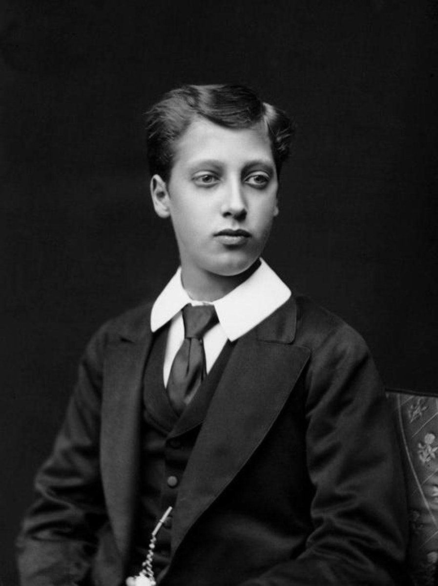 Prins Albert Victor, hertog van Clarence en Avondale (1864-1892) in 1875. Hij stierf op 28-jarige leeftijd tijdens een pandemie die aan het influenzavirus wordt toegeschreven, maar volgens sommige experts aan een coronavirus te wijten was.