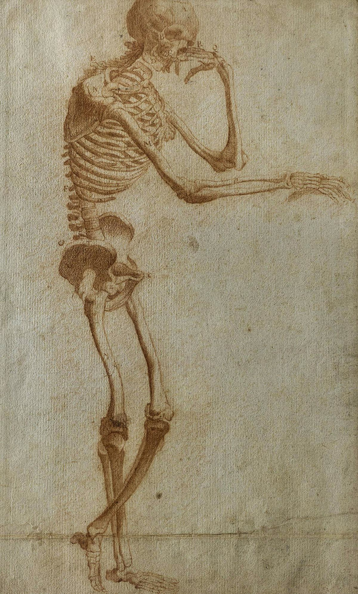 De Filosoof. Tekening toegeschreven aan Jan Steven van Calcar, Collectie Caiati Old Masters
