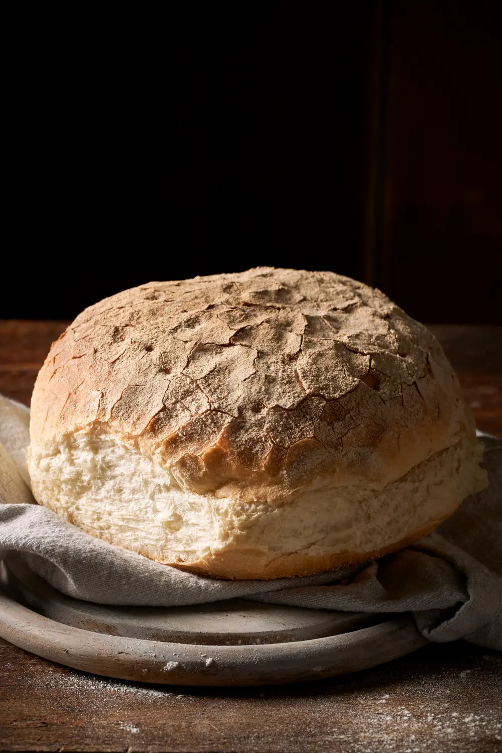 brood 1