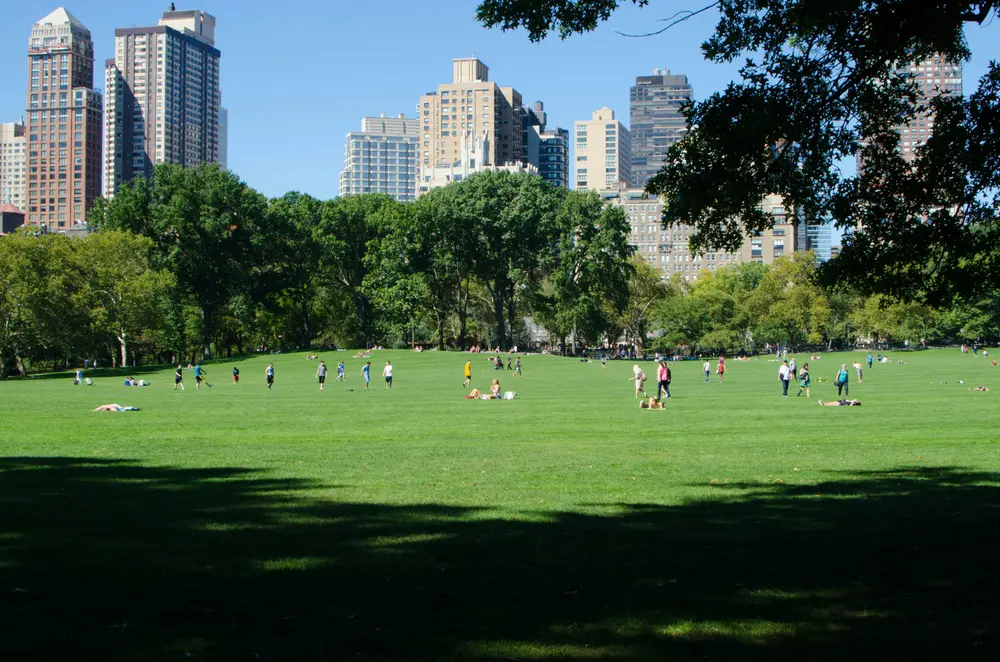 Groen park (Carl Newton)