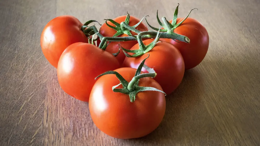 tomaten