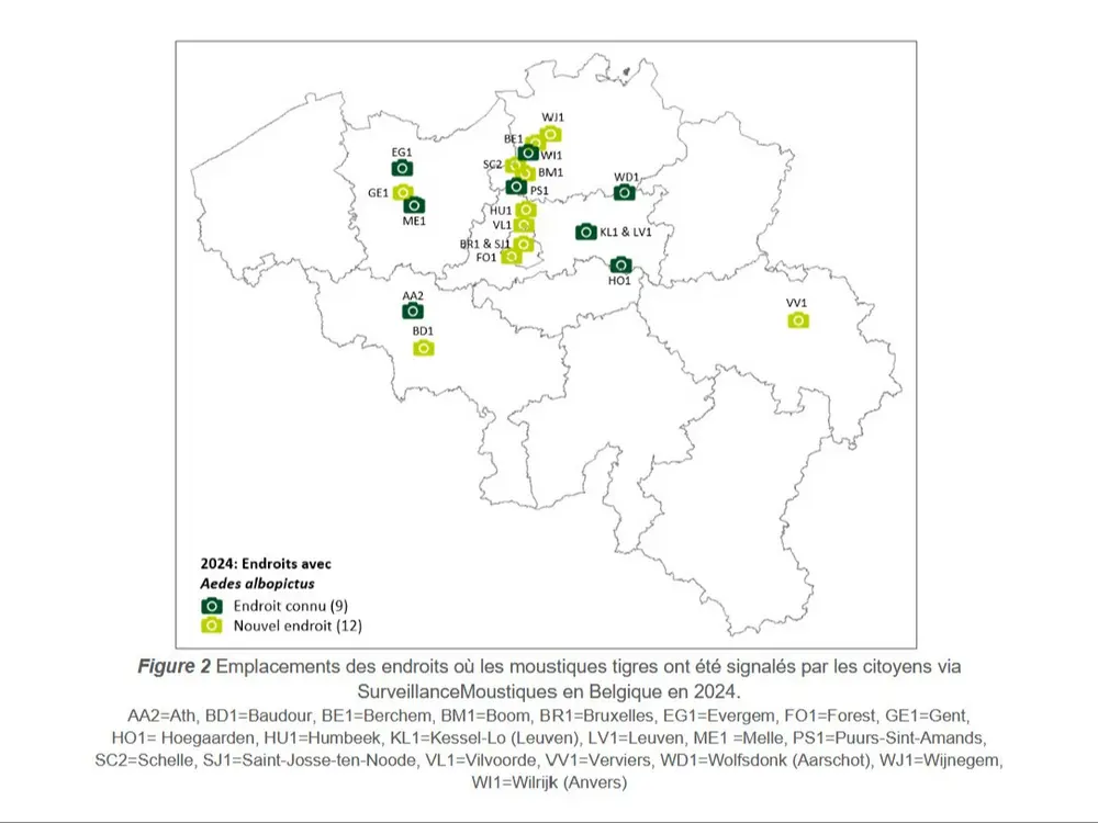 Carte moustiques tigres