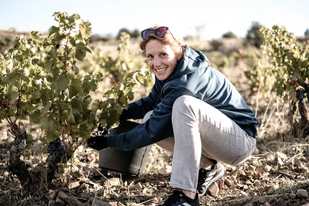 Spar - Marleen Henriksen wijn