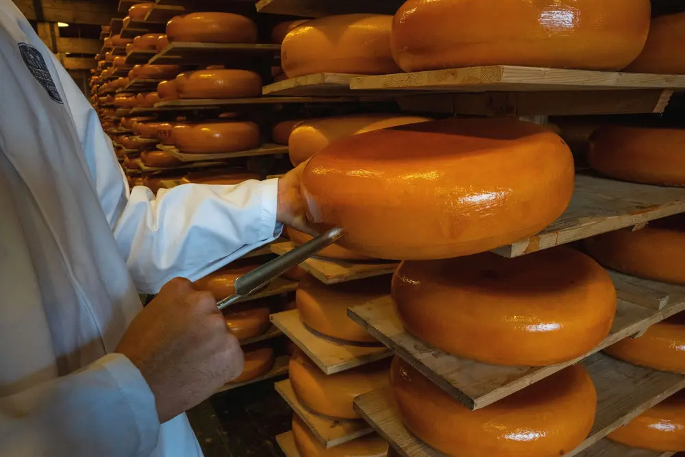 Reypenaer kaas check kwaliteit