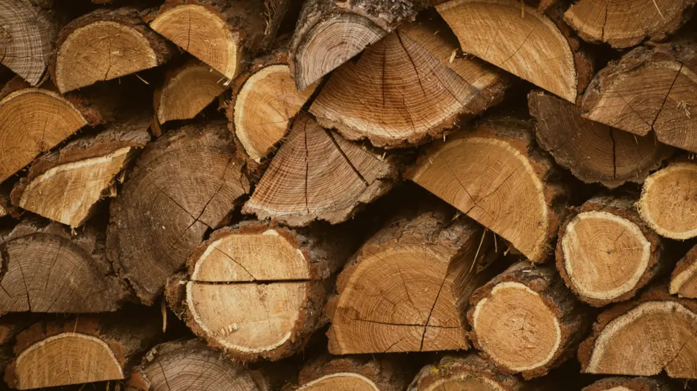 Lignine zorgt voor stevigheid bij bomen en planten