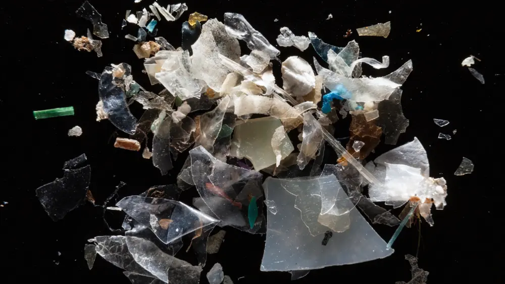 microplastics en hun effect op het menselijk lichaam