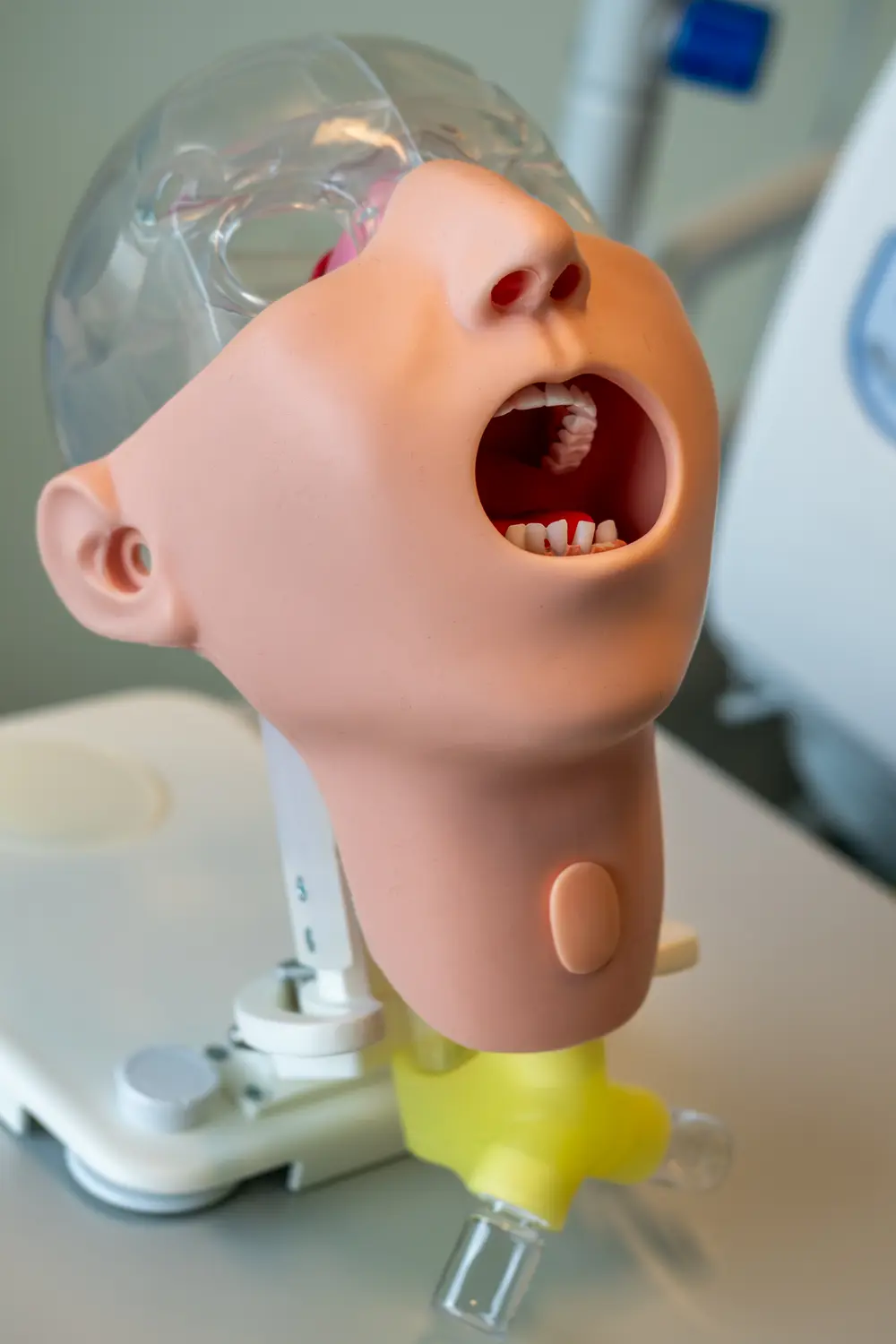 Simulatiepoppen ZAS - mondhygiëne