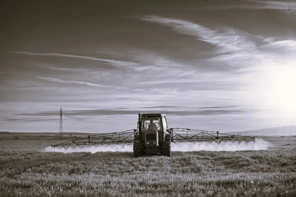 glyphosate