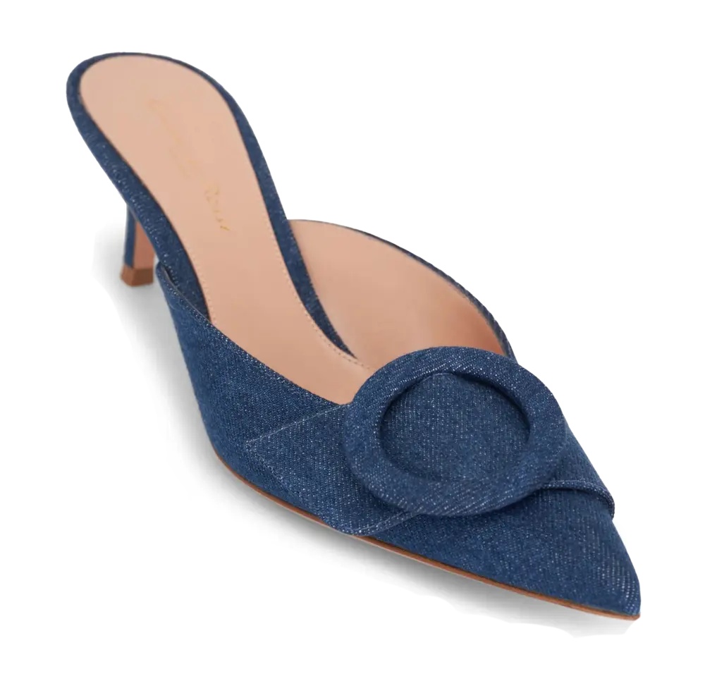 Gianvito Rossi denim