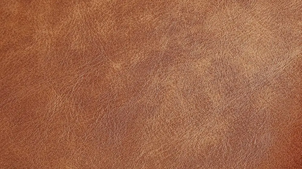Kleur 1 vierkante neus trend