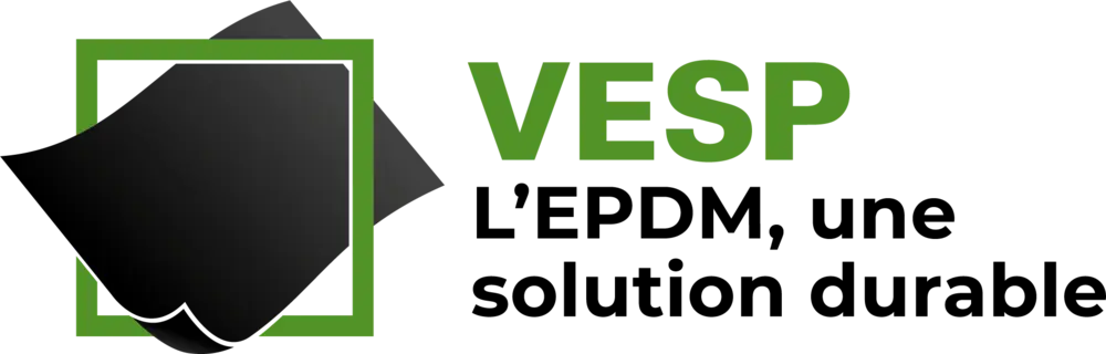 Logo VESP