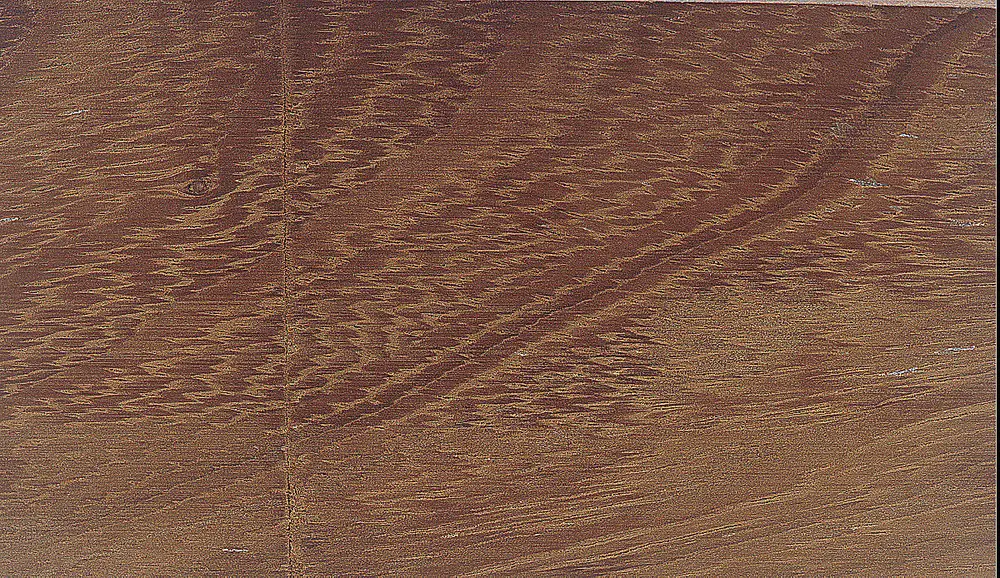 Iroko