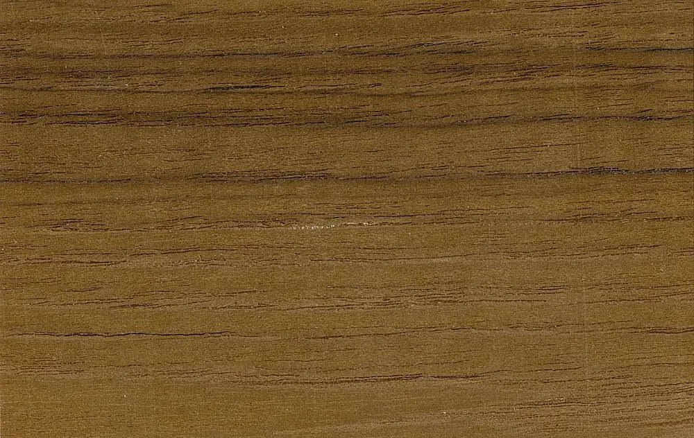 Teak