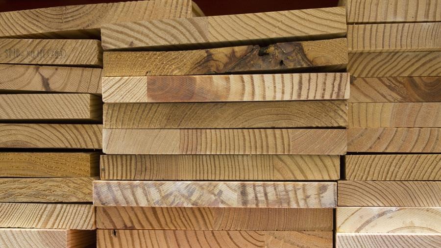 houtsoorten verduurzaming