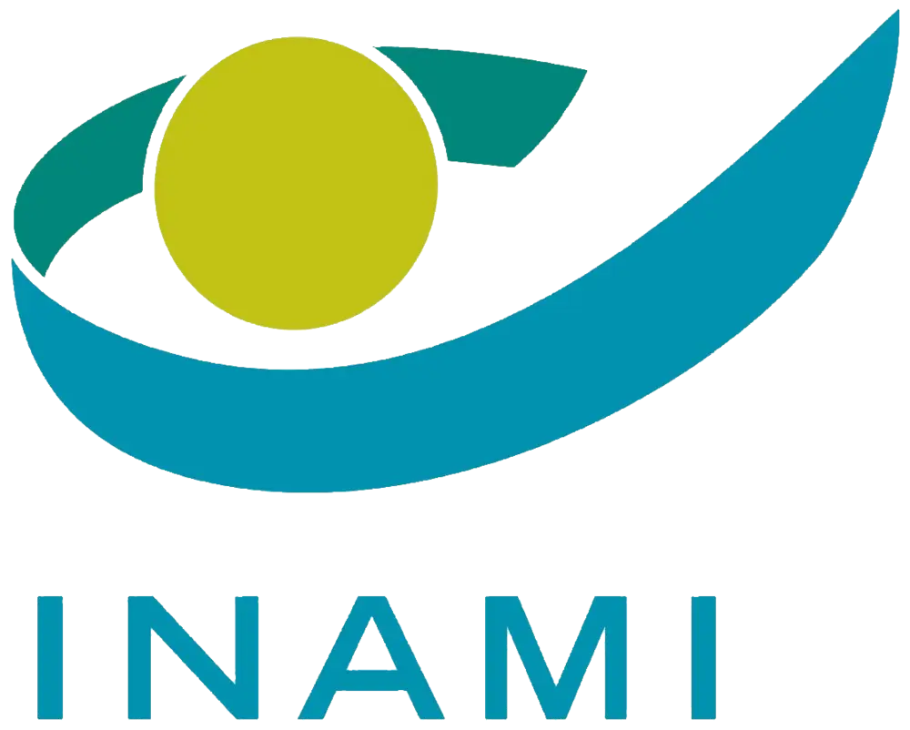 Logo Inami