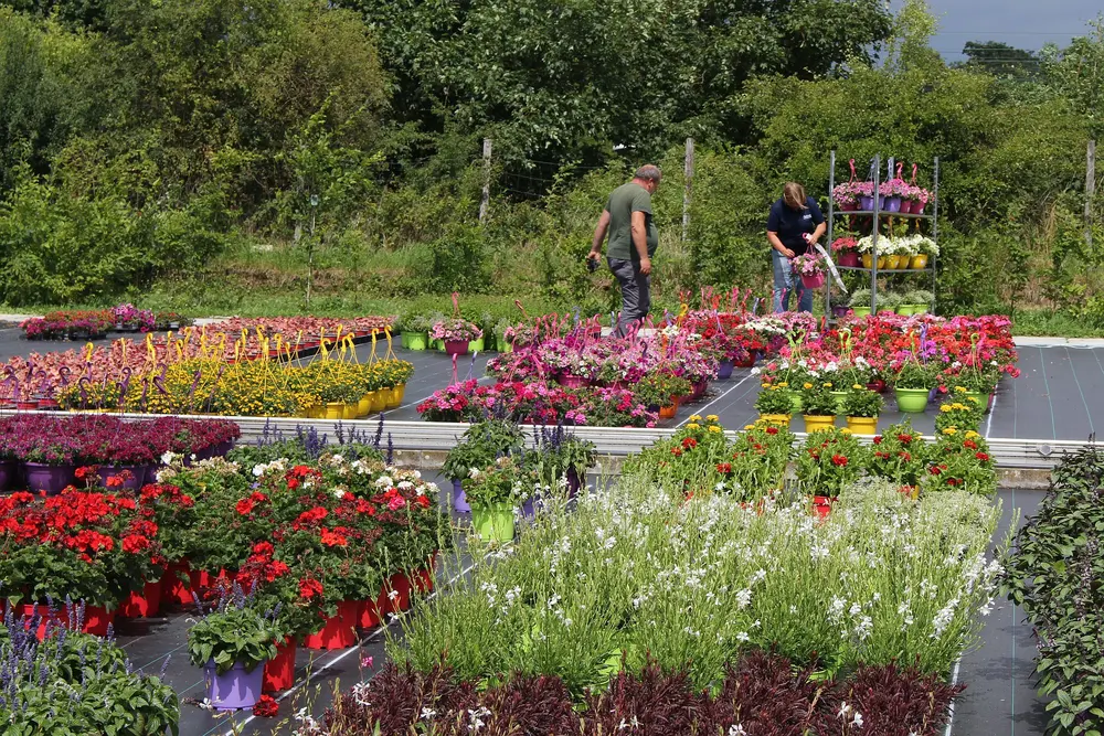 Plantendiversiteit ten top