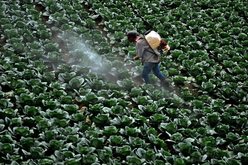 pesticide