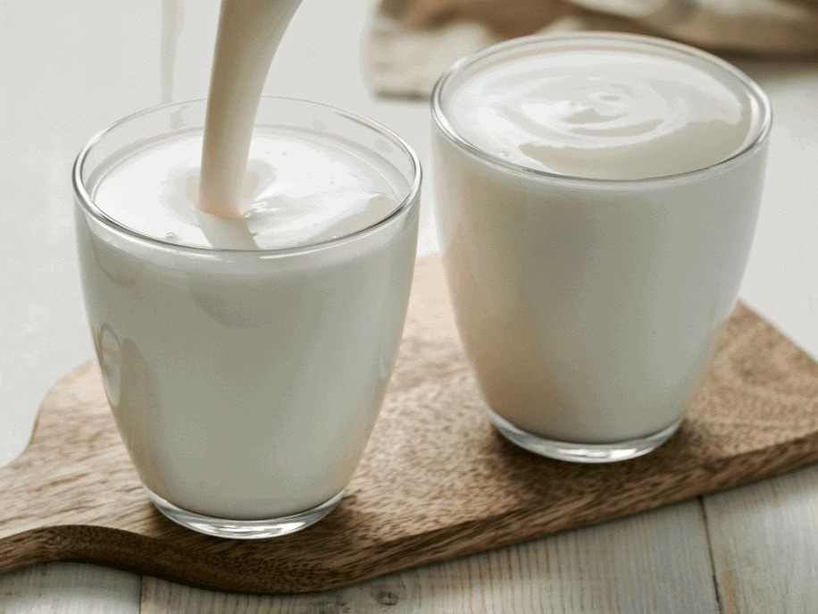 kefir