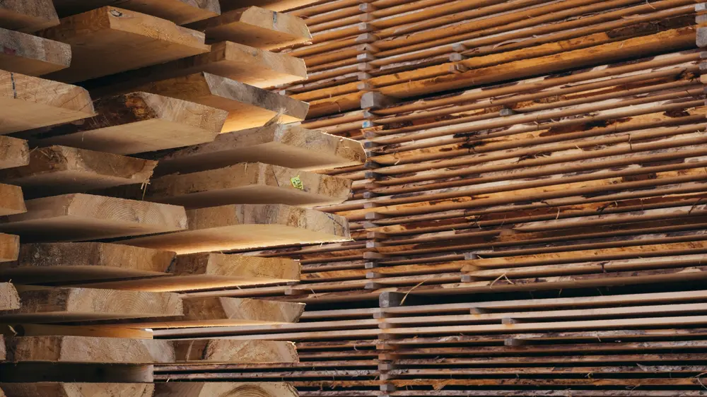 Fysische eigenschappen hout