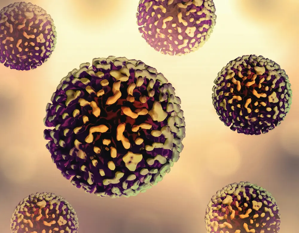 weergave hepatitis B virus