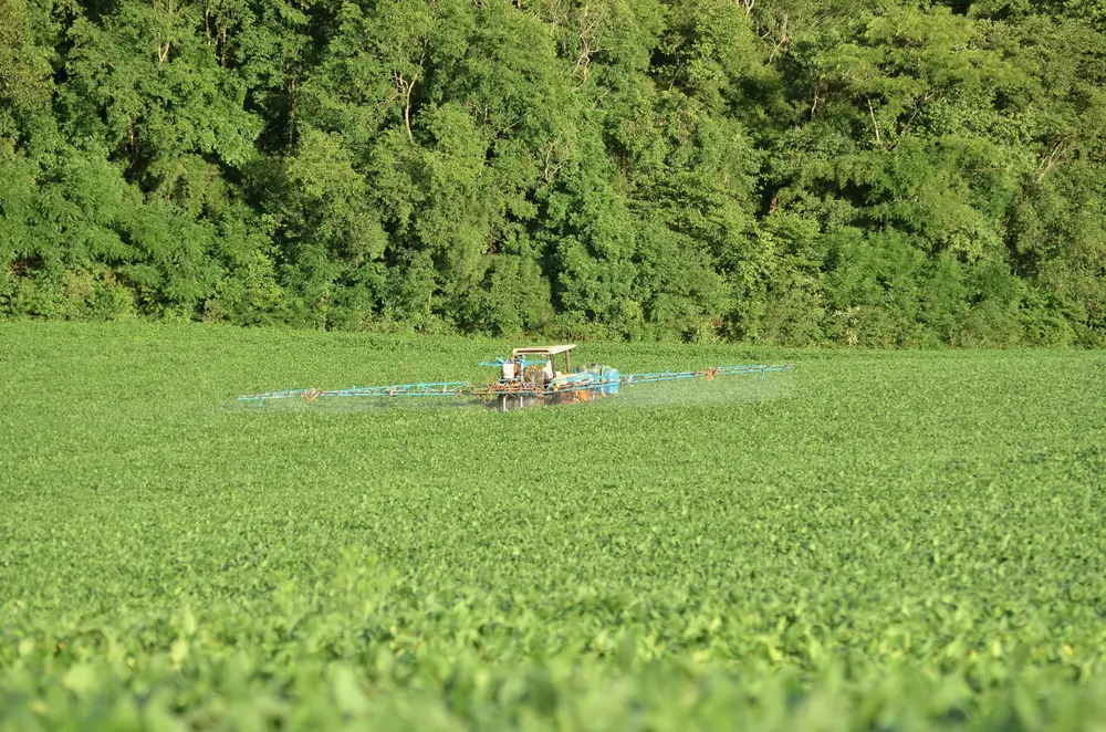 Loi Duplomb pesticides 