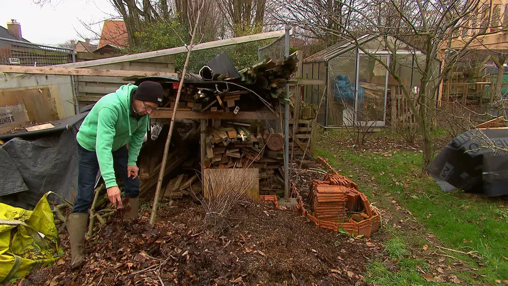 een boom inkuilen