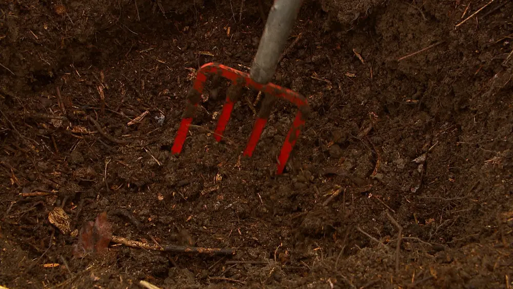 compost op bodem plantgat