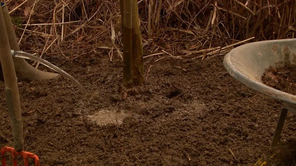 water geven vers geplant