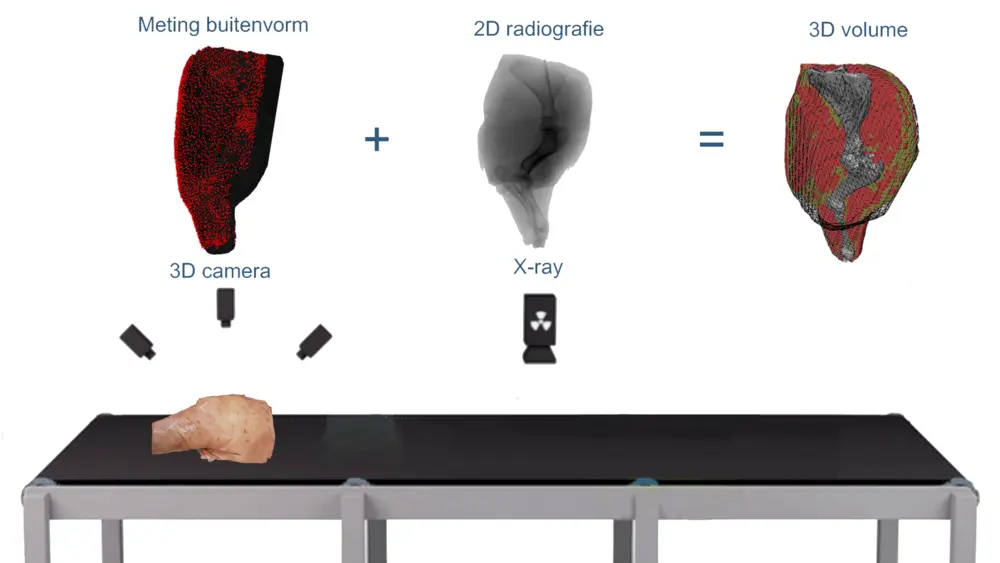AI-model 3D-botstructuur varkensschouder