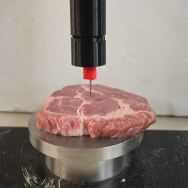 inprikken optische vezelprobe