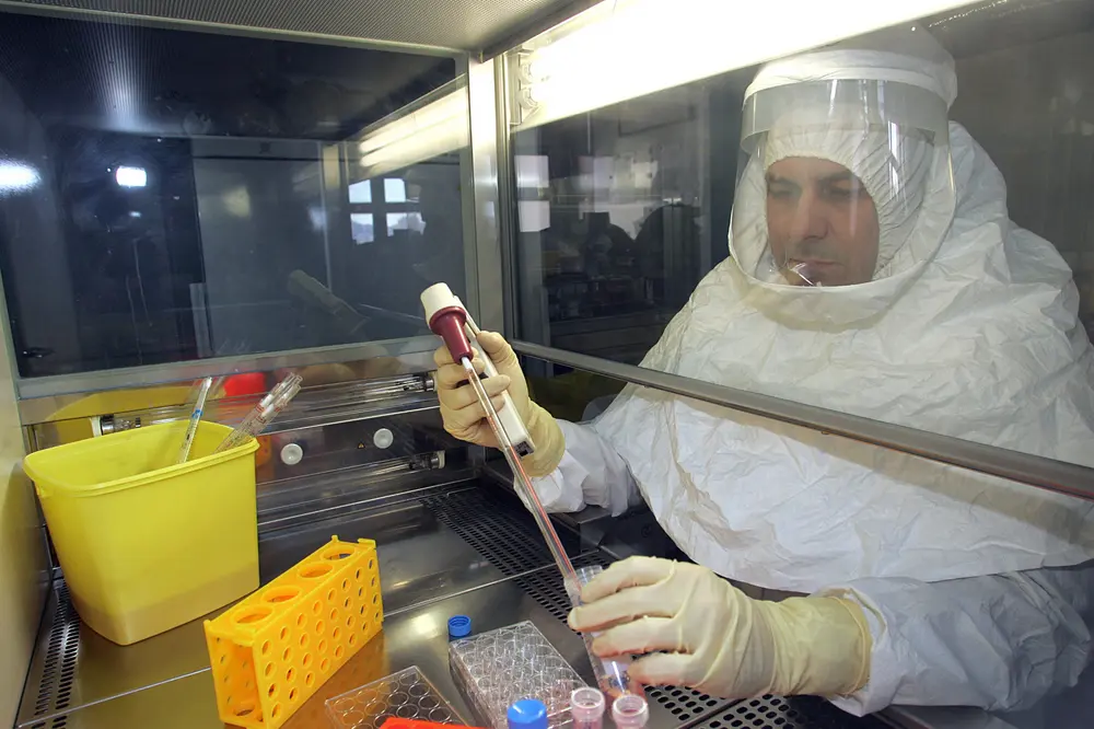 Chikungunya virus