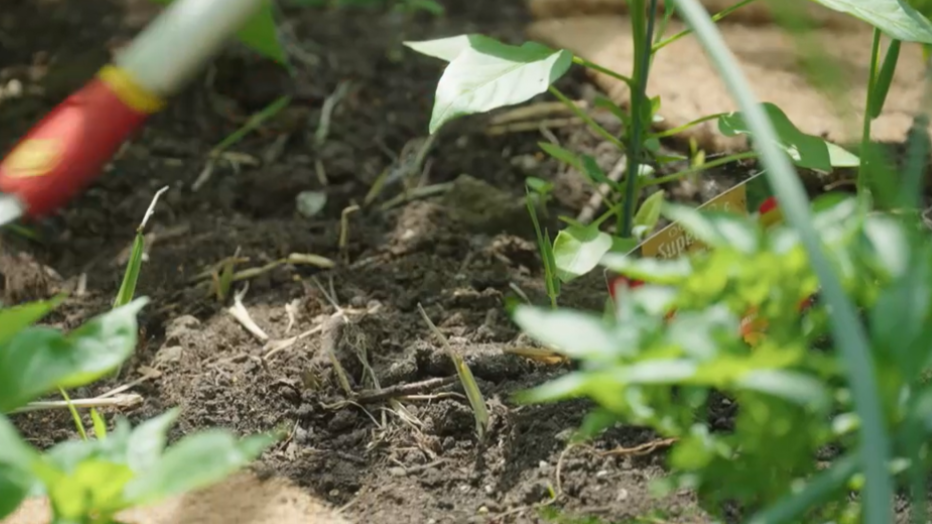 potgrond voor moestuin