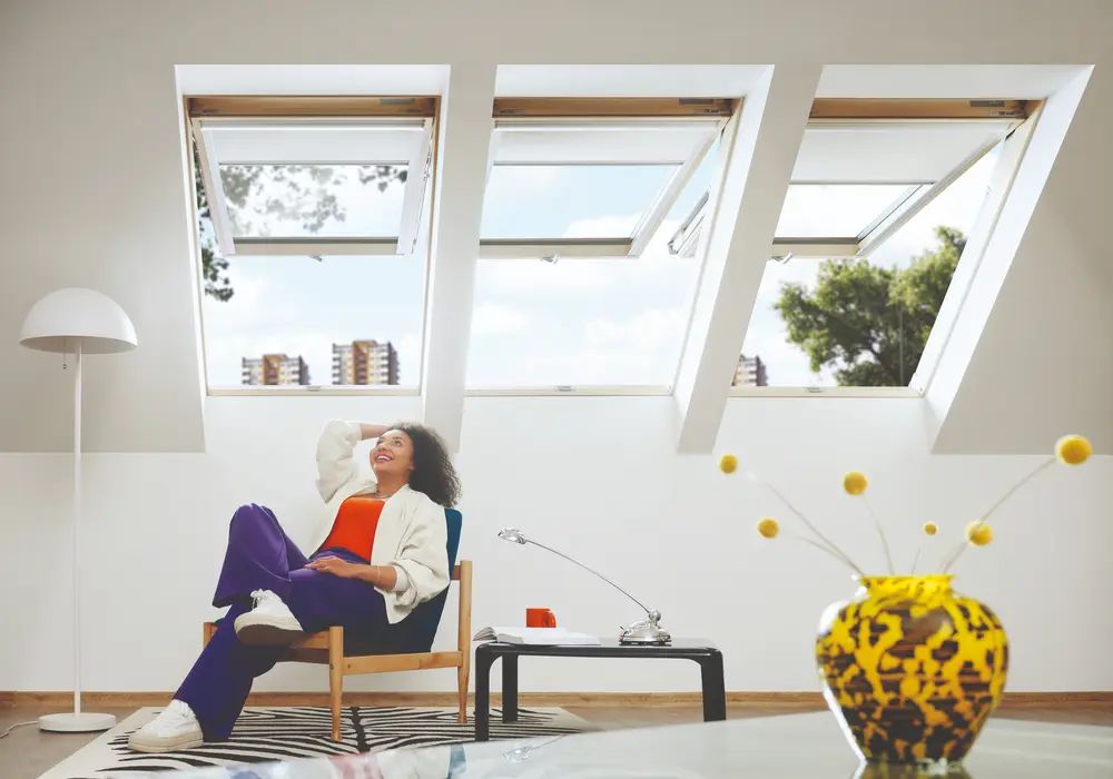 greenview dakvenster