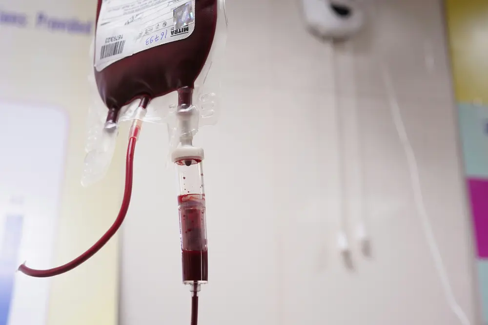 Transfusion sanguine sang blood hémophilie
