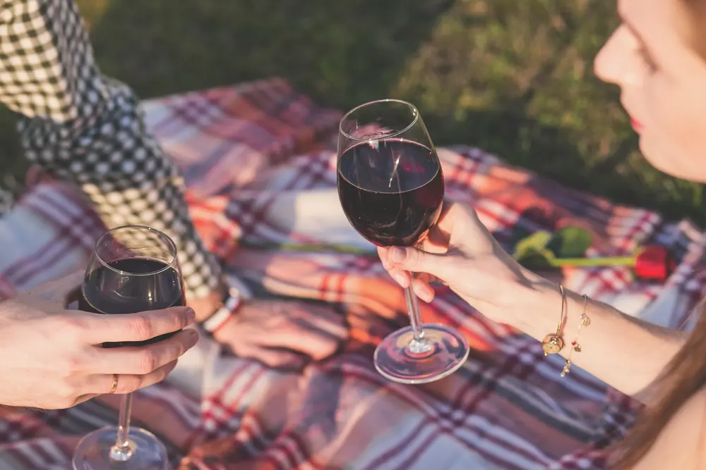 alccol vin teneur SPF santé