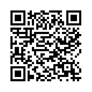 elektrische aandrijfsysteem5