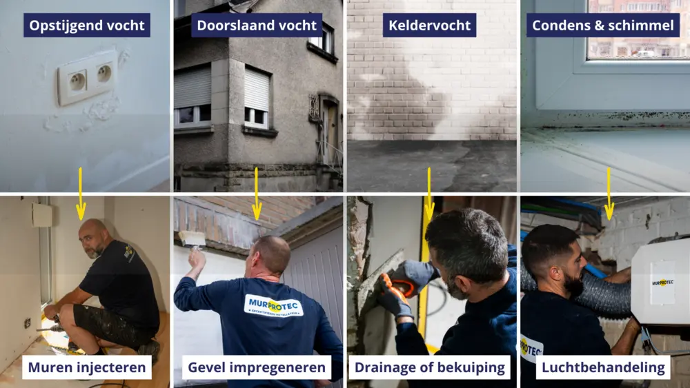 vaak voorkomende vochtproblemen