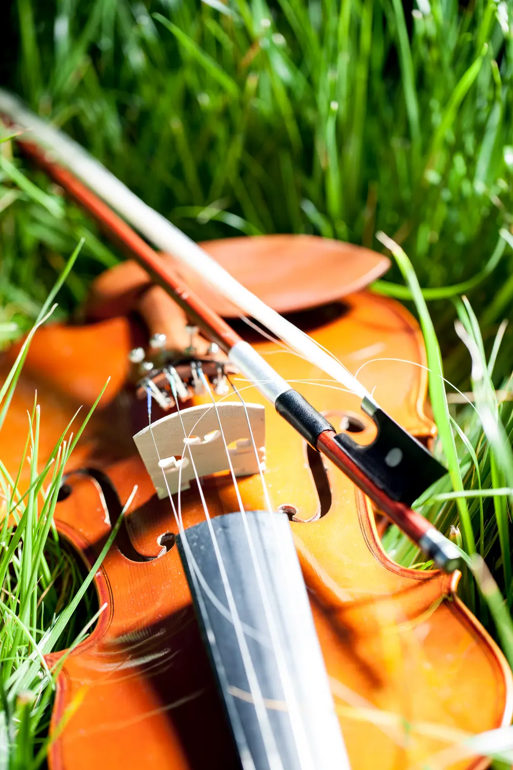 Violon stradivarius