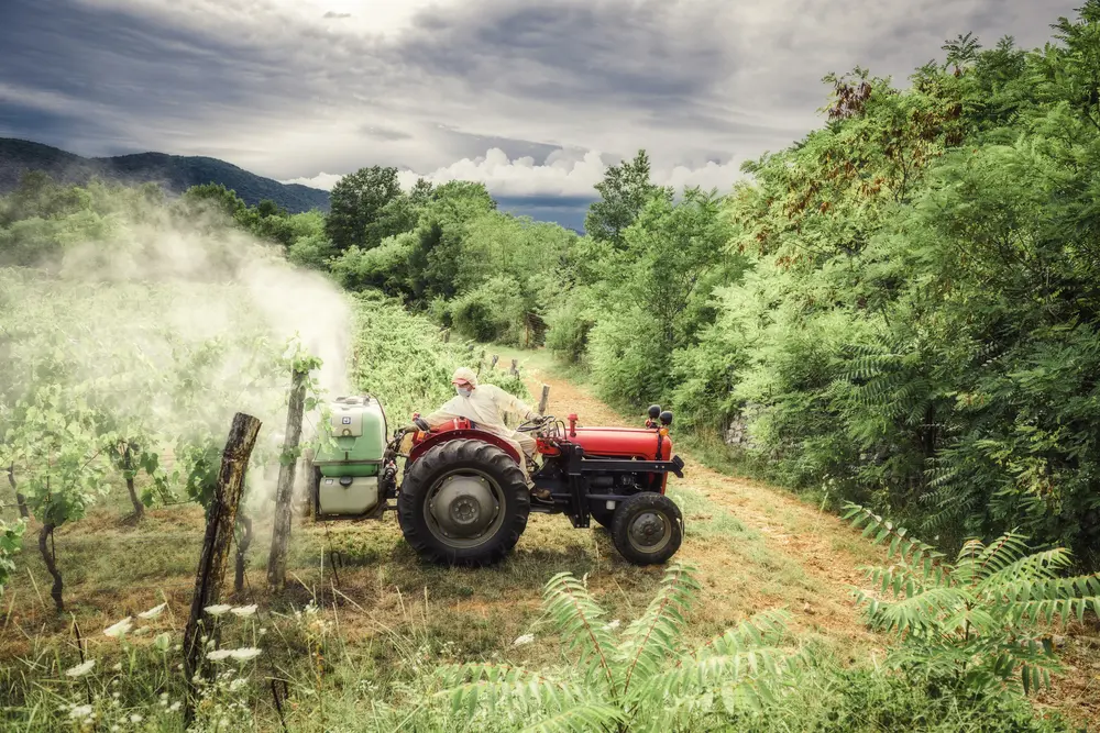 pesticides vignobles