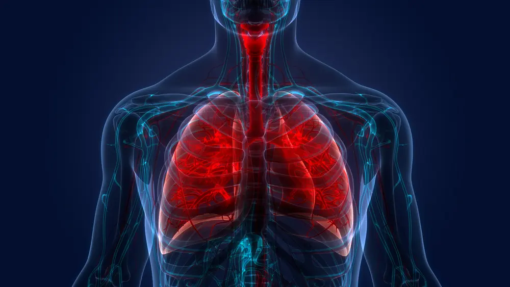 longfibrose betoging